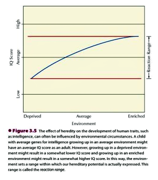 Reaction Range of IQ - Heredity vs Environment